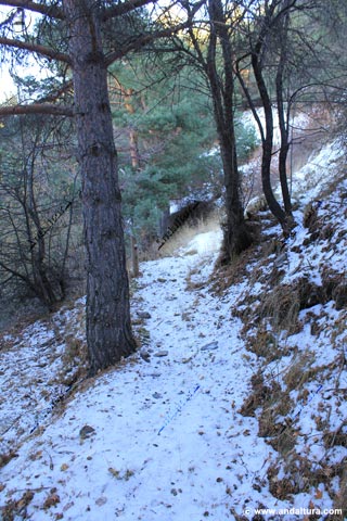 Vereda nevada y estaca del Sendero Sulayr