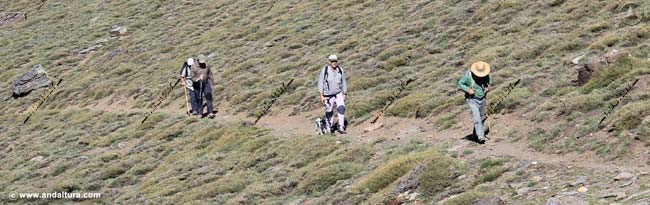 Senderistas por la vereda desde el Valle del Genil en el Gran Recorrido GR240 Sendero Sulayr