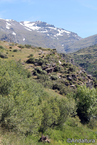 Cerro del Caballo en la ascensión desde Lanjarón al Refugio Ventura