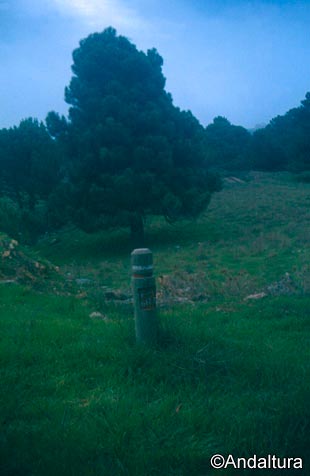 Estaca y pino del Gran Recorrido Europeo E-4 / GR-7 en la Sierra de las Albuñuelas