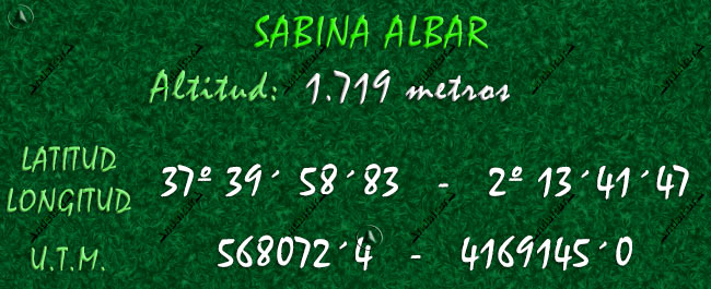 Datos geográficos del Monumento Natural Sabina Albar