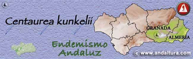 Mapa de Andalucia de la situación de la Centaurea kunkelii