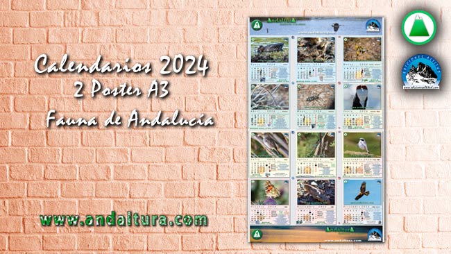 Anuncio del los Calendarios en A3 de 2024 de la Fauna de Andalucía