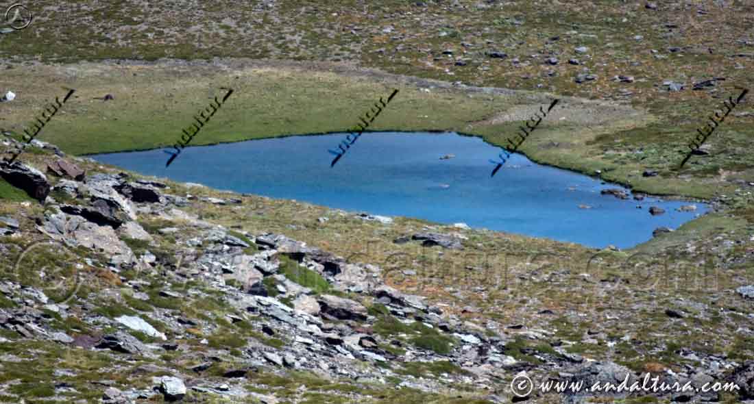 Detalle borreguil y Laguna de Peñón Negro