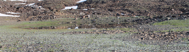 Laguna de la Mojonera - Rutas de Senderismo por Sierra Nevada en el Valle del río Juntillas en Trevélez