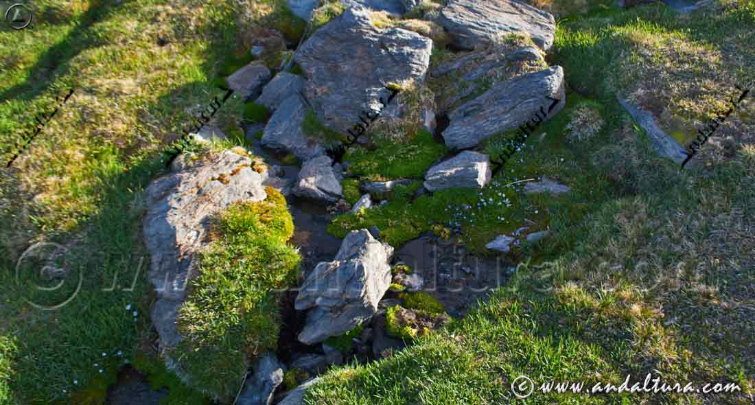 Valle del río Mulhacén: Nacimiento del Ramal de Peñón Negro - Parque Nacional de Sierra Nevada