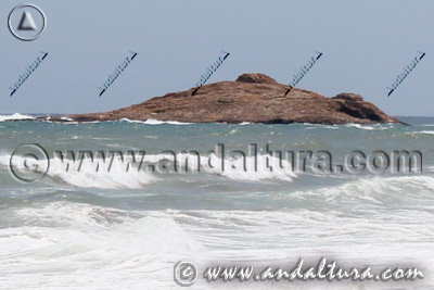 Accesos a nuestros contenidos sobre el Monumento Natural Isla de San Andrés