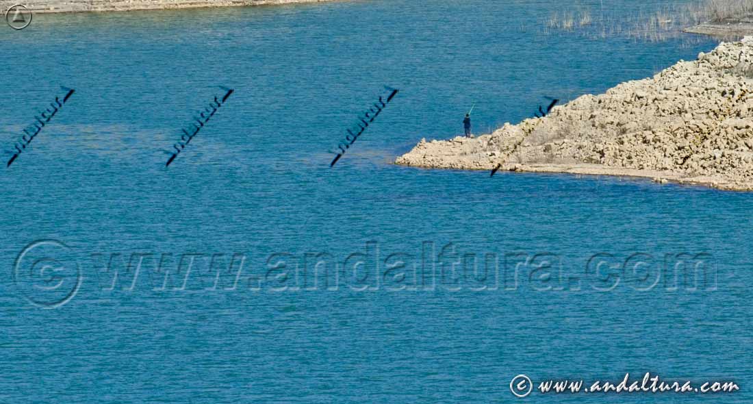 Pesca deportiva en el Emblase de Benínar