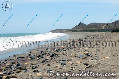 Accesos a nuestros contenidos sobre la Playa de Algarrobico en Carboneras