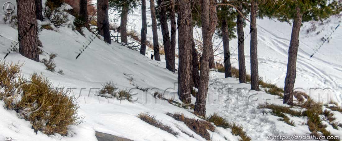 Estaca del Sendero de Pequeño Recorrido PRA - 333 de Aldeire al Puerto de la Ragua