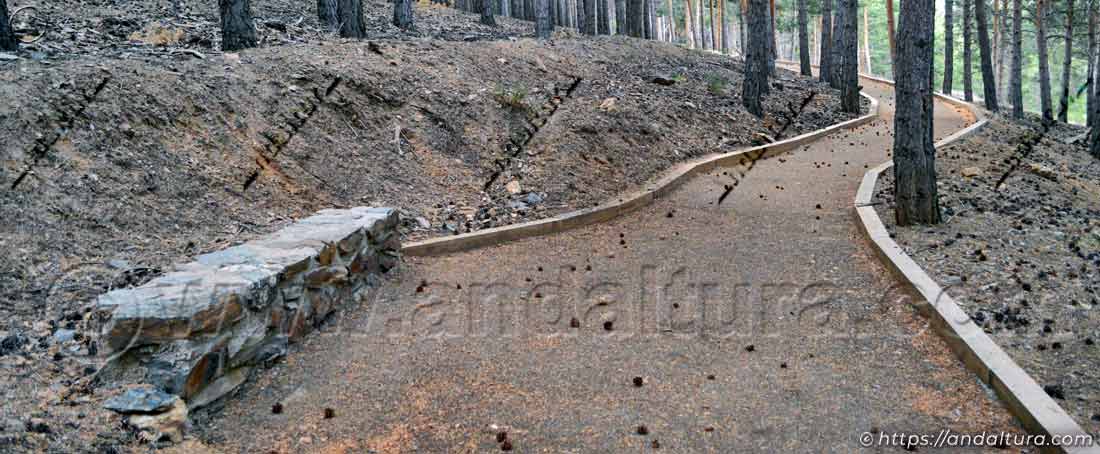 Banco de piedras en el pinar del Sendero Hoyos de la Pura - Puerto de la Ragua
