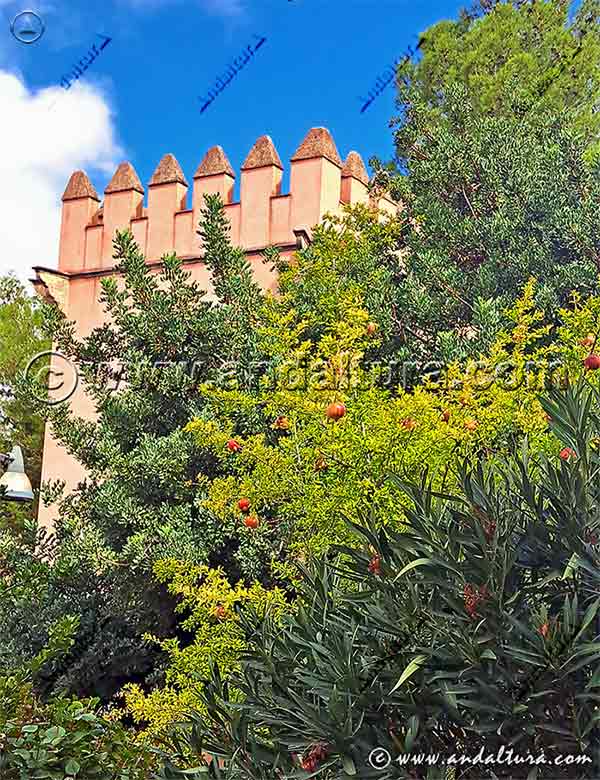 Inspiraciones en la Torre de los Picos en Granada capital