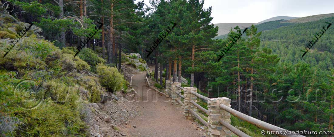 Recorrido adaptado del Sendero Hoyos de la Pura