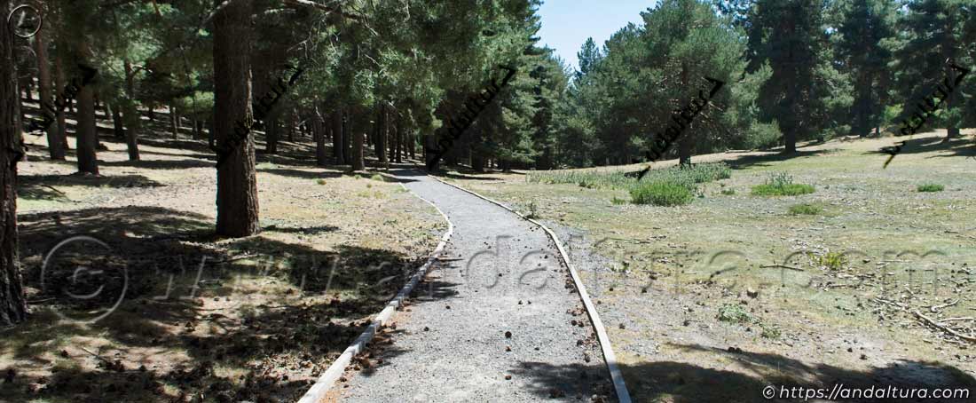 Trazado del Sendero Prados de la Ragua en el Puerto de la Ragua
