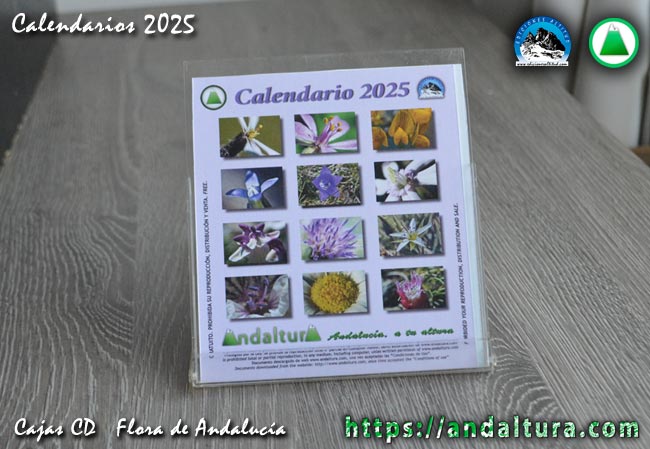 PDF del Calendario para Caja de CD de Flora de Andalucía del 2025