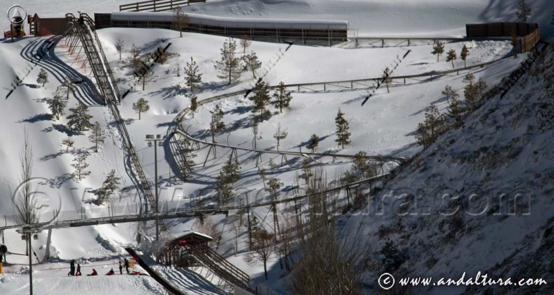 Trineo ruso en el Complejo Deportivo Mirlo Blanco en Sierra Nevada