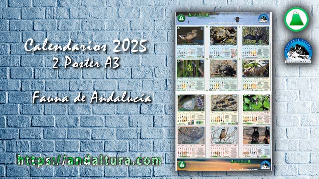 Anuncio de los Calendarios de la Fauna de Andalucía en formato A3