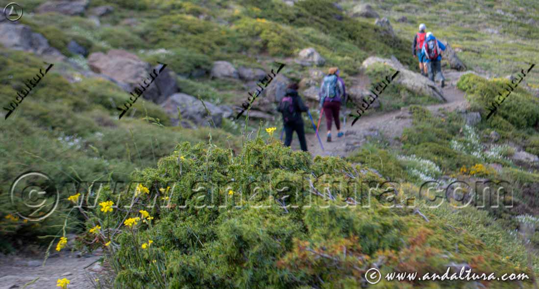 Actividades en verano y rutas interpretativas por el entorno de la Hoya de la Mora, el Valle de Monachil y el Valle de Dílar
