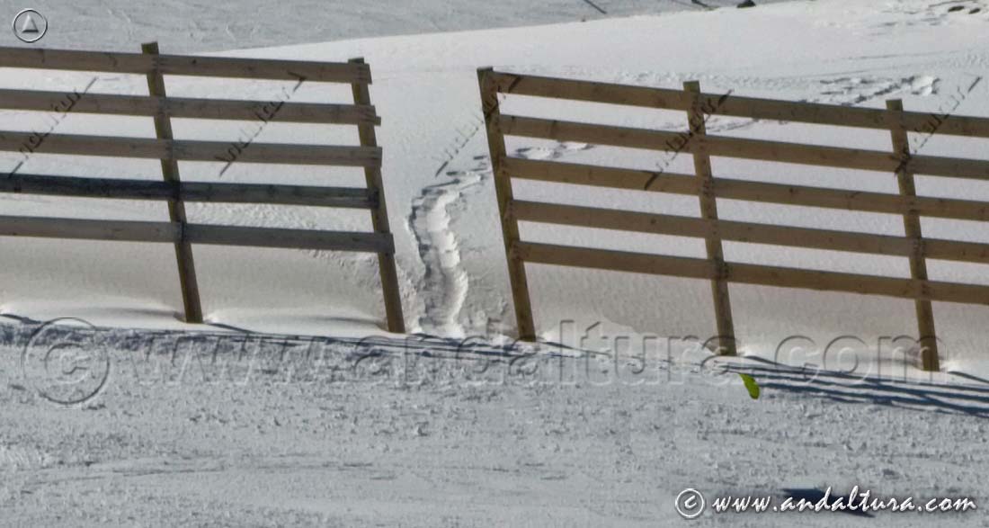 Paso abierto entre Paravientos en la Estación de Esquí Sierra Nevada