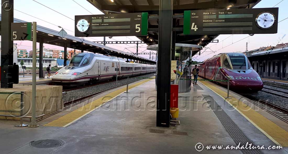 Estación de Tren de Granada; AVE y Avio