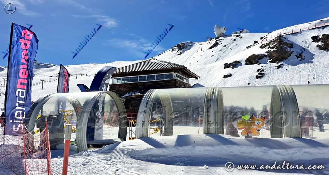 Zona de principiantes y antigua alfombra o cinta transformadora en proceso de eliminación en Borreguiles - Estación de Esquí Sierra Nevada