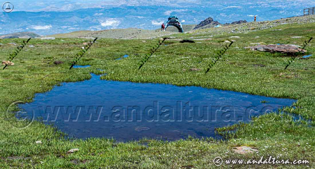 Borreguiles y láminas de aguas en la Pista del Mar - Estación de Esquí Sierra Nevada