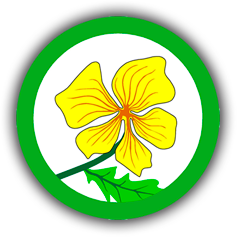 Icono flor amarilla de Leucanthemopsis pectinata - Gamarza