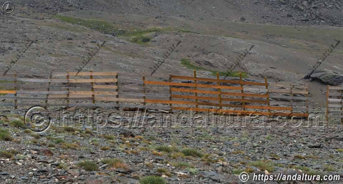 Reforma anuales en los paravientos de Sierra Nevada