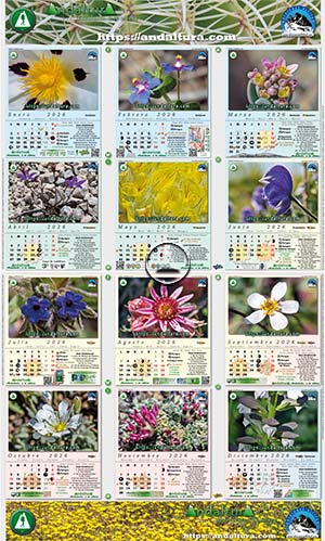 Calendario de pared A3 2026 dedicado a la flora de Andalucía