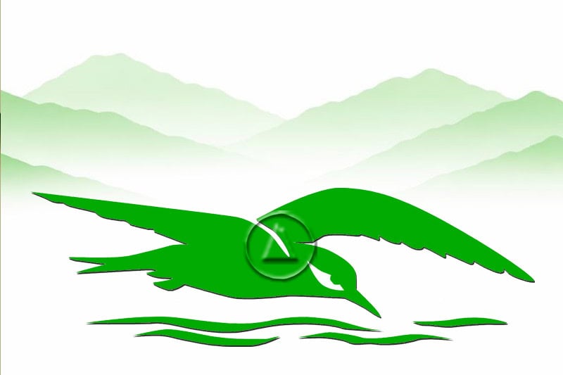 Silueta de ave planeadora sobre zonas húmedas en rutas naturales de Andalucía