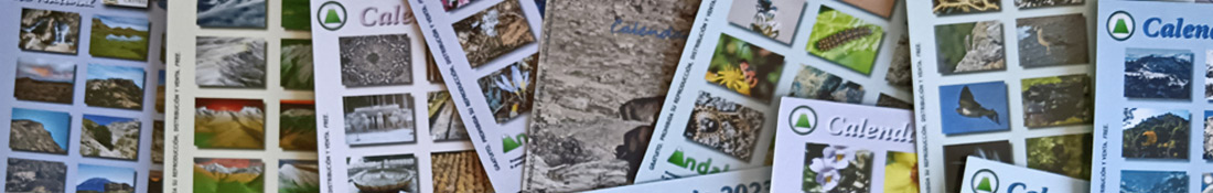 Ejemplos de las portadas de distintos modelos de los Calendarios para Cajas CD de Andaltura