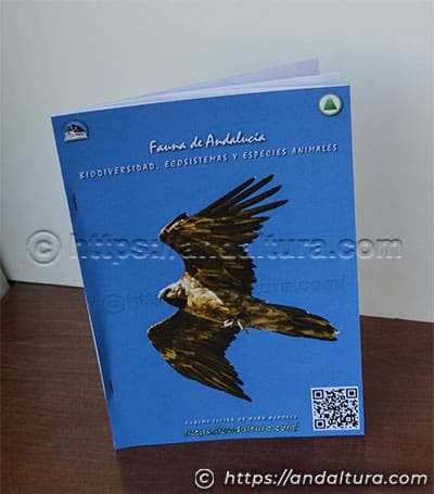 Guía PDF Fauna de Andalucía Andaltura con águila rapaz en vuelo sobre fondo azul