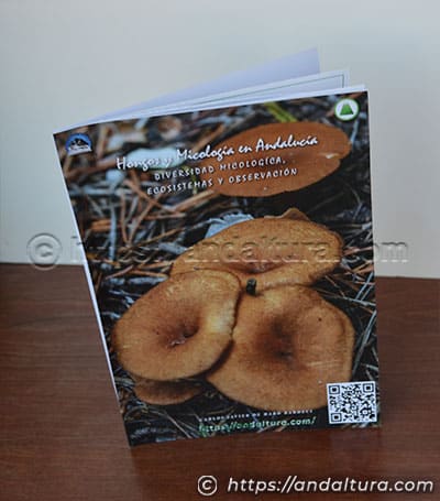 Guía PDF Hongos y Micología de Andalucía Andaltura con setas silvestres