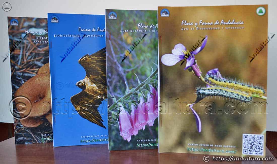 Guías interactivas y para imprimir sobre la biodiversidad de Andalucía: Flora y Fauna, Flora, Fauna y Hongos y Micología de Andalucía