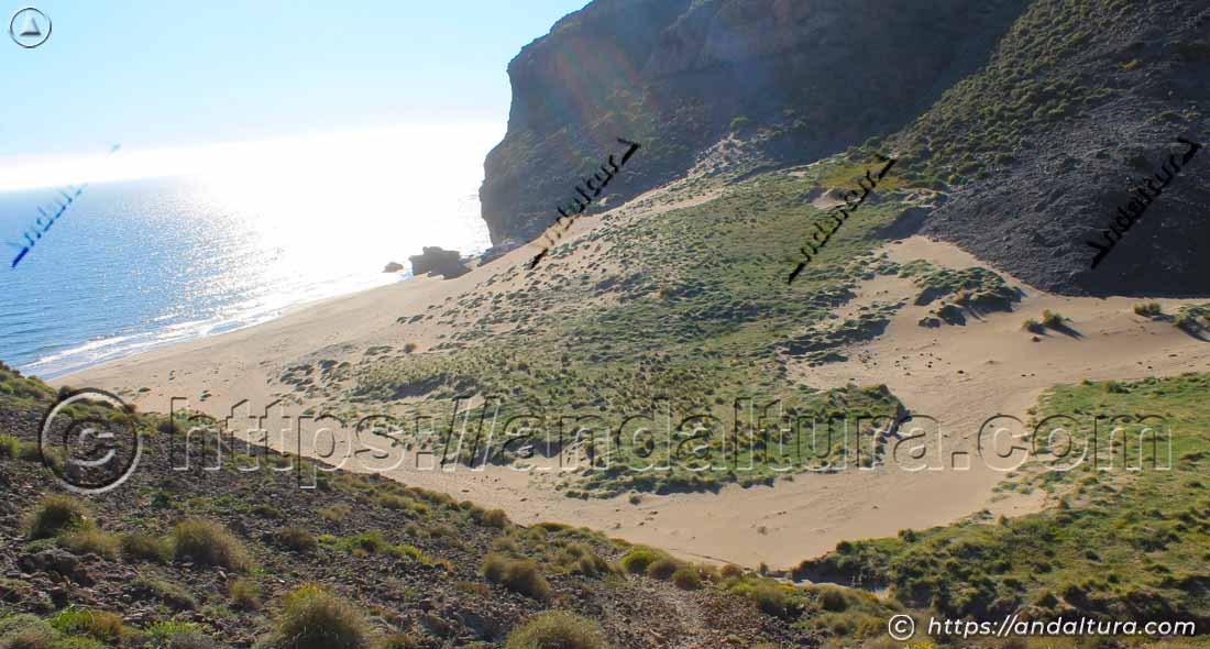 dunas-cala-chica-barronal Dunas y vegetación litoral en Cala Chica del Barronal
