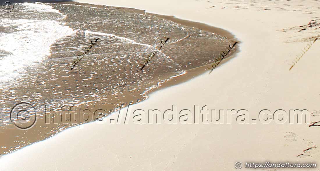 Orilla de arena de Cala Príncipe en el Parque Natural Cabo de Gata
