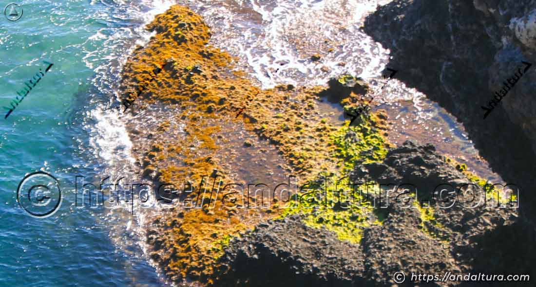 Plataforma rocosa volcánica junto a Cala Príncipe
