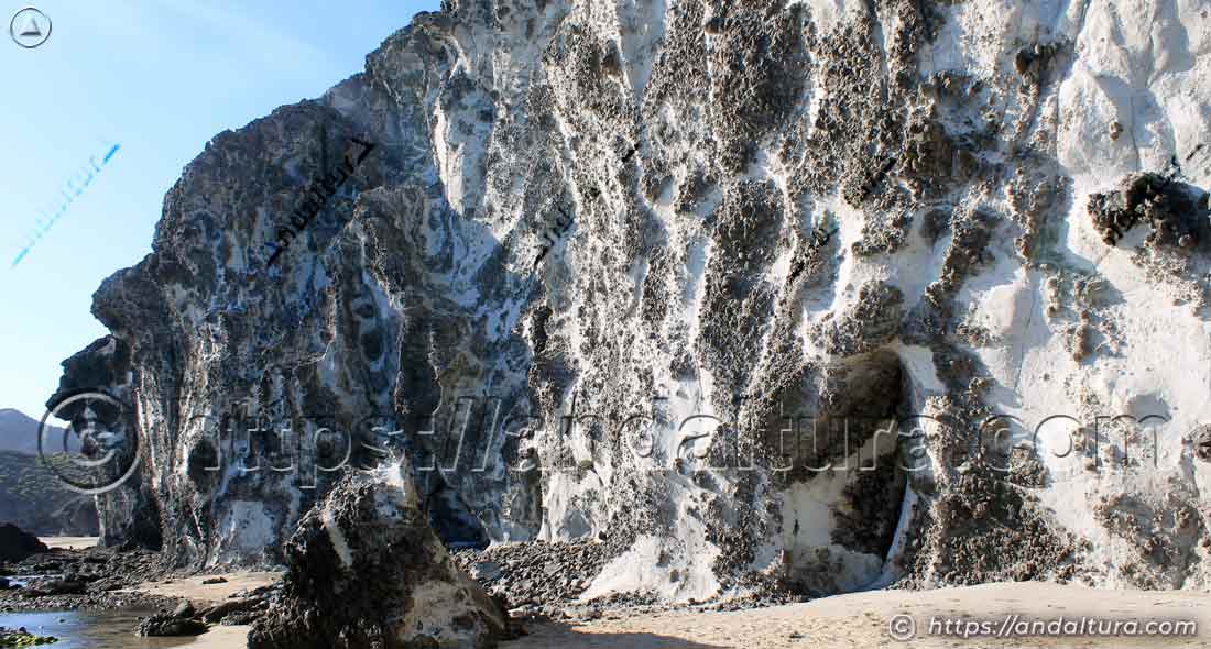 Texturas y formas del acantilado volcánico del Barronal.