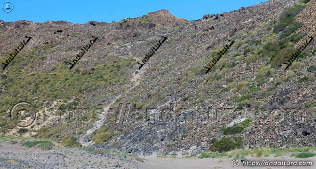 vereda-bajada-cala-chica-barronal Vereda de descenso hacia Cala Chica del Barronal